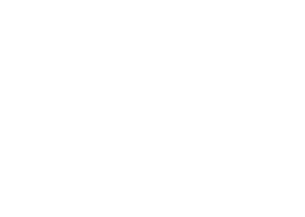 Transcribe Print